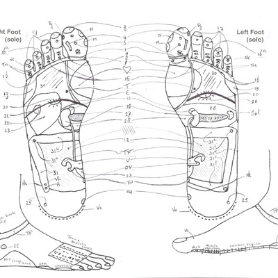 reflexologie_soles_of_the_feet_with_numbers_2340